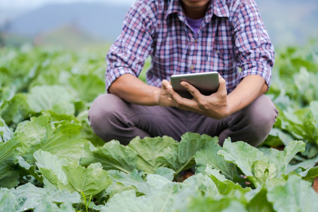 Personnes s'occupant de cultures avec une tablette