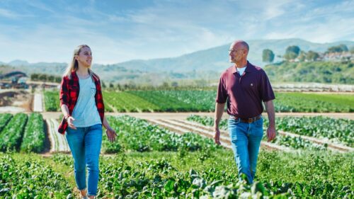Un homme et une femme marchent dans un champ