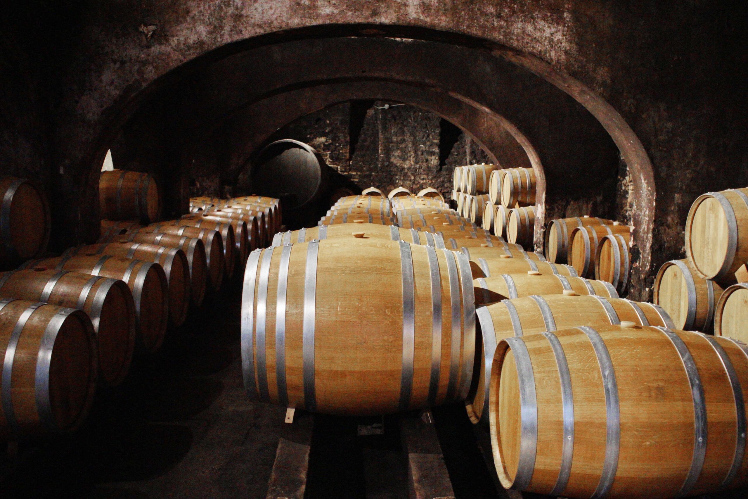 tonneaux dans une cave